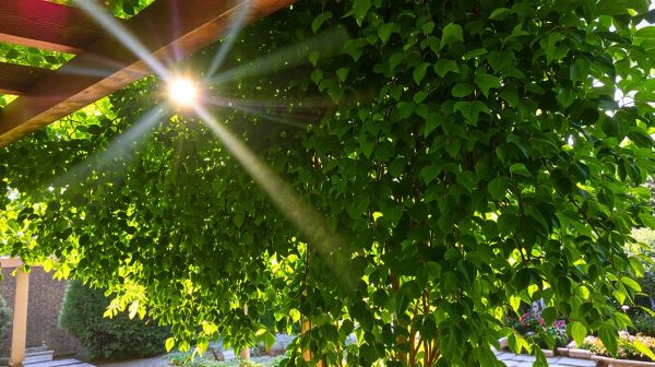 Consejos para elegir telas densas ideales para pérgolas en verano