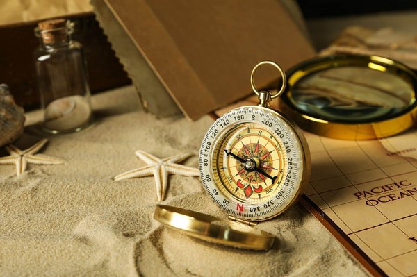 ¿Cuáles son las mejores prácticas para viajar con un gato?